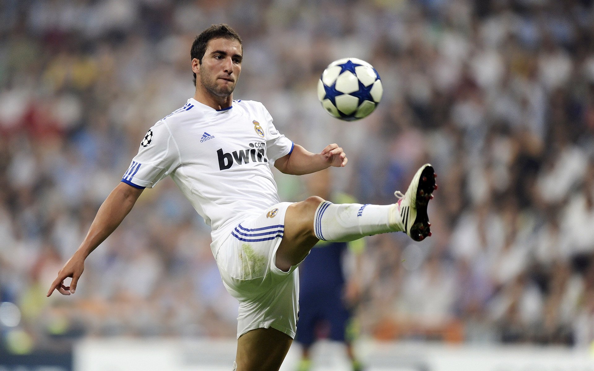 黄蜂蛰伤辽宁队!米切尔在友谊赛中展现真正的关键先生本色