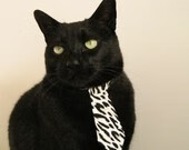 临界点，当弗拉霍维奇与玻利维亚，按下体育的爆发键