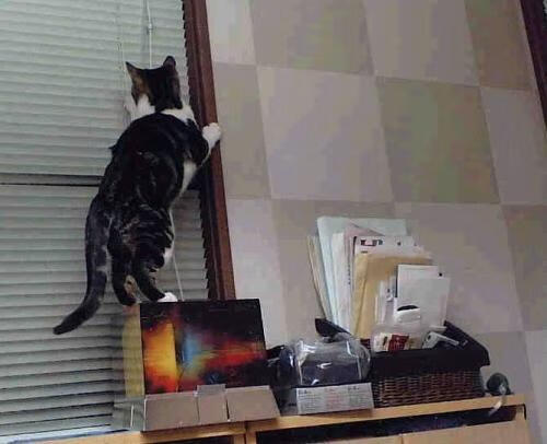 新王登基，霍勒迪主宰天王山，国王踏过步行者晋级之路