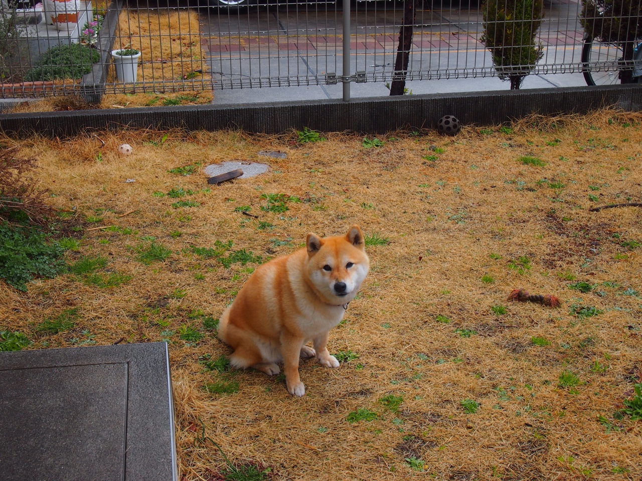 绿茵与硬木的交响，当世界杯圣西罗上演太阳vs火箭的抢七决战