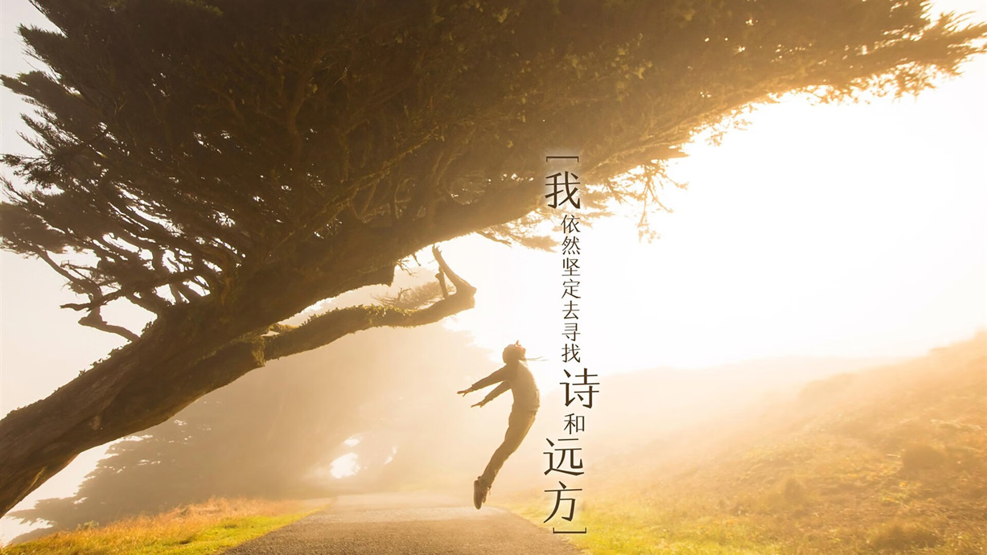 宿命翻转，当努涅斯的致命一击撕碎巴西的桑巴幻想—2026世界杯B组丹麦如何以钢铁防线压制五星巴西，在进攻端完成历史性爆发